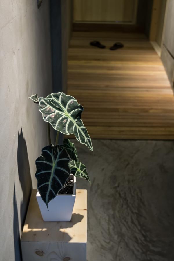 Bed and Breakfast Shaoguang 188 Yuchi Exterior foto